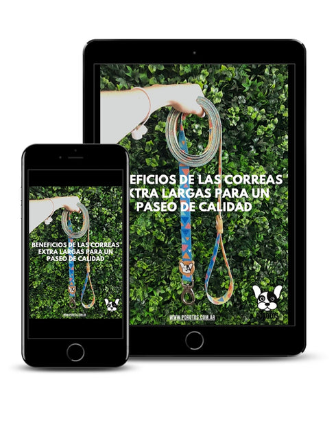 Guía en PDF: Beneficios de las correas extra largas